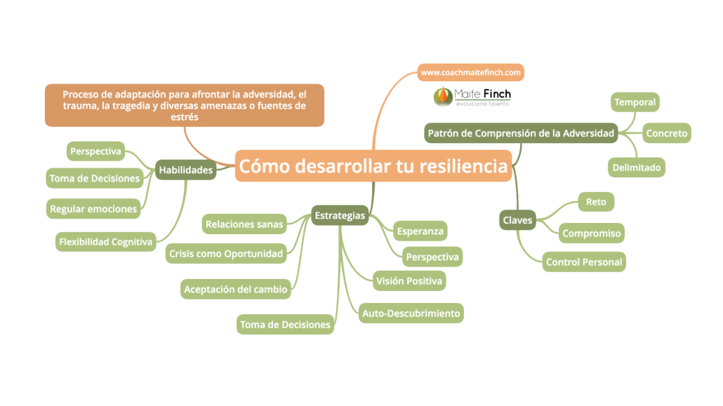 comprende y practica tu capacidad de resiliencia