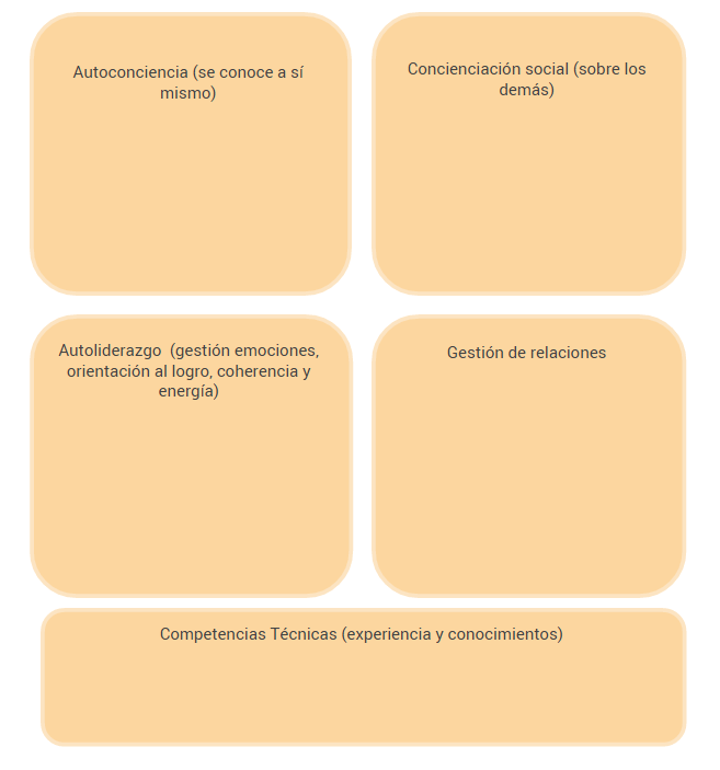 Plantilla de tu modelo de liderazgo en cinco casillas: autoconciencia, conciencia social, autoliderazgo, gestión de relaciones y competencias técnicas.
