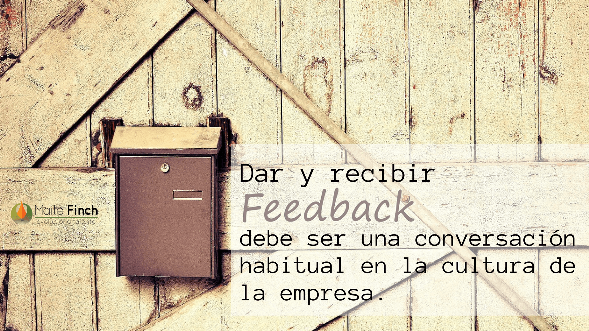dar y recibir feedback